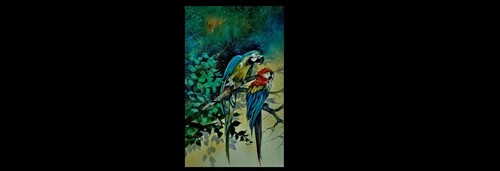 Mark bird