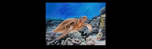Turtle