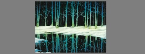 Birch tree reflection2