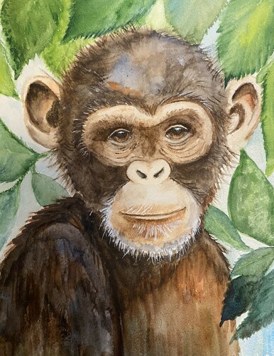 Chimp